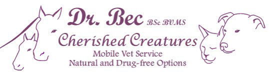 Vet Australia
