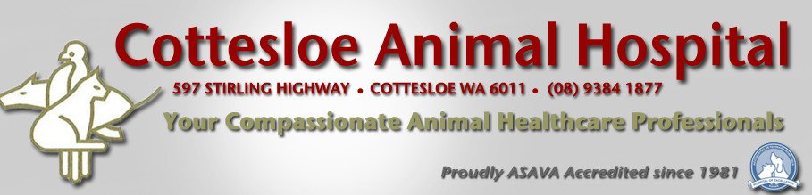 Cottesloe Animal Hospital Cottesloe