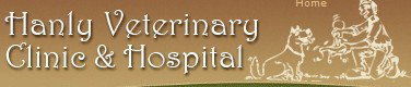 Hanly Veterinary Clinic  Hospital Maddington