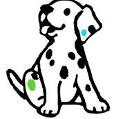 Four Paws Vet - Black Forest Vet Surgery - Vet Australia