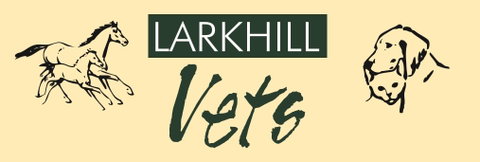 Larkhill Vets - Vet Australia 0