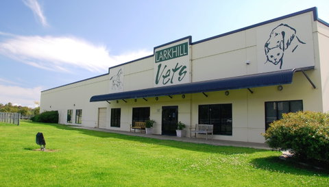 Larkhill Vets - Vet Australia 1