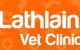 Lathlain Veterinary Clinic - thumb 0