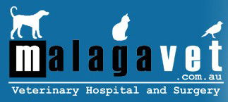 Malaga Veterinary Hospital Malaga