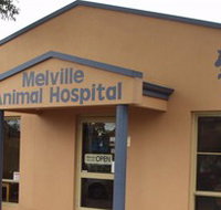 Melville Animal Hospital - Vet Australia