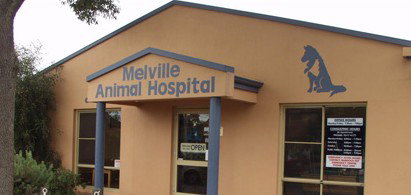 Melville Animal Hospital - Vet Australia 0