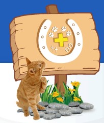 Midland Vet Hospital Midvale