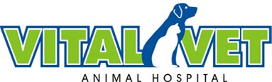Vital Vet Animal Hospital Ellenbrook