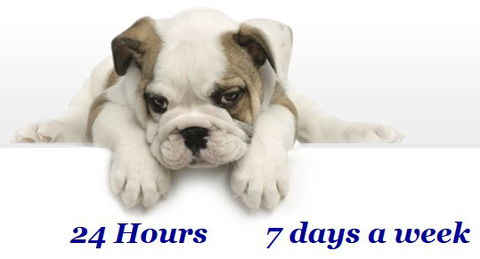 Animal Ambulance - Vet Australia 0