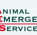 Animal Emergency Service - Vet Australia