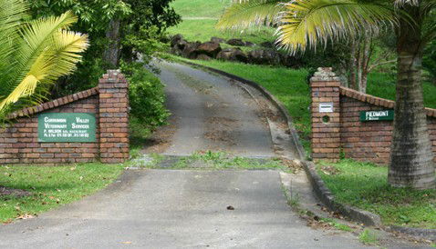 Currumbin QLD Vet Australia
