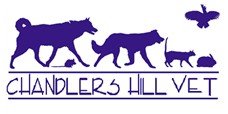 Chandlers Hill Vet Happy Valley