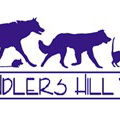 Chandlers Hill Vet - Vet Australia