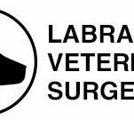 Labrador Veterinary Surgery - Vet Australia