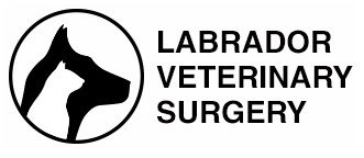 Labrador Veterinary Surgery - Vet Australia 0