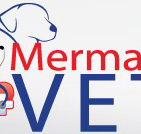 Mermaid Waters Veterinary Surgery - Vet Australia