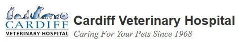 Cardiff Veterinary Hospital Cardiff