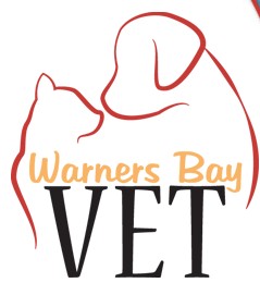 Warners Bay Vet - Vet Australia 0