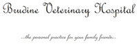 Brudine Veterinary Hospital