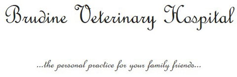 Brudine Veterinary Hospital - Vet Australia 0
