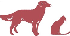 Deakin Veterinary Hospital Deakin