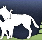 Gungahlin Veterinary Hospital - Vet Australia