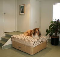 Holistic Paws - Vet Australia