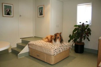 Holistic Paws - Vet Australia 0