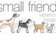 Small Friends Veterinary Hospital - thumb 0