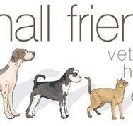 Small Friends Veterinary Hospital - Vet Australia