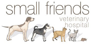 Small Friends Veterinary Hospital - Vet Australia 0