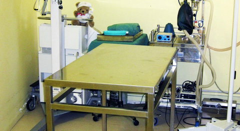 All Paws Veterinary Clinic - Vet Australia 2