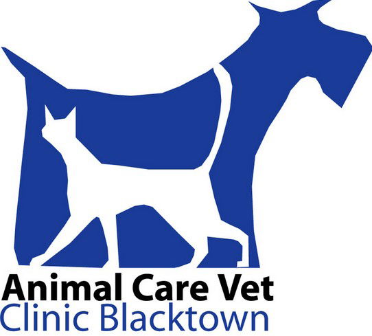 Kings Park NSW Vet Australia