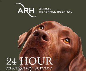 Animal Referral Hospital Homebush