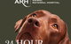 Animal Referral Hospital - thumb 0