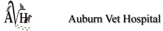 Auburn Veterinary Hospital Auburn