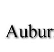 Auburn Veterinary Hospital - Vet Australia