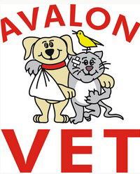 Avalon NSW Vet Australia