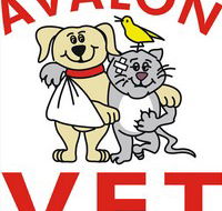 Avalon Veterinary Hospital - Vet Australia