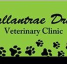 Ballantrae Drive Veterinary Clinic - Vet Australia