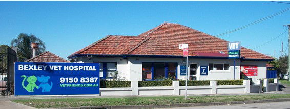  Vet Australia