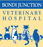 Kensington NSW Vet Australia