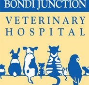 Bondi Junction Veterinary Hospital - Vet Australia
