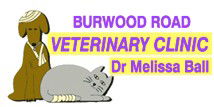 Cabarita NSW Vet Australia