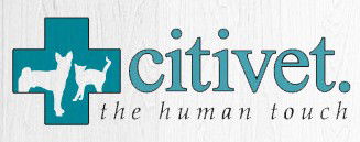 Woollahra NSW Vet Australia