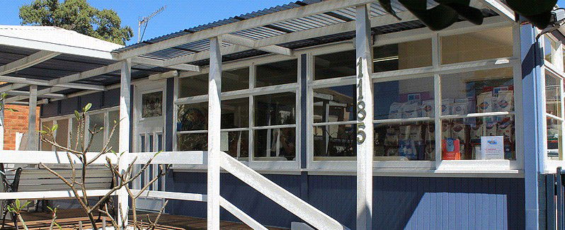 Collaroy Beach NSW Vet Australia
