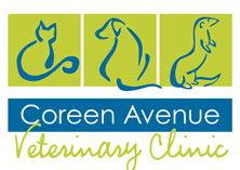 Penrith NSW Vet Australia