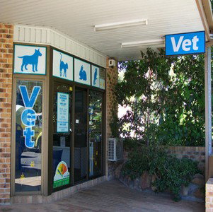 Elanora Veterinary Clinic Elanora Heights