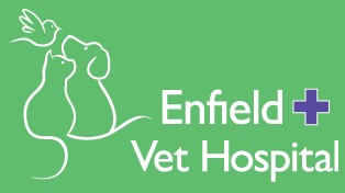 Enfield Veterinary Hospital Enfield