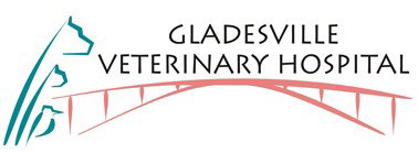 Gladesville Veterinary Hospital Gladesville